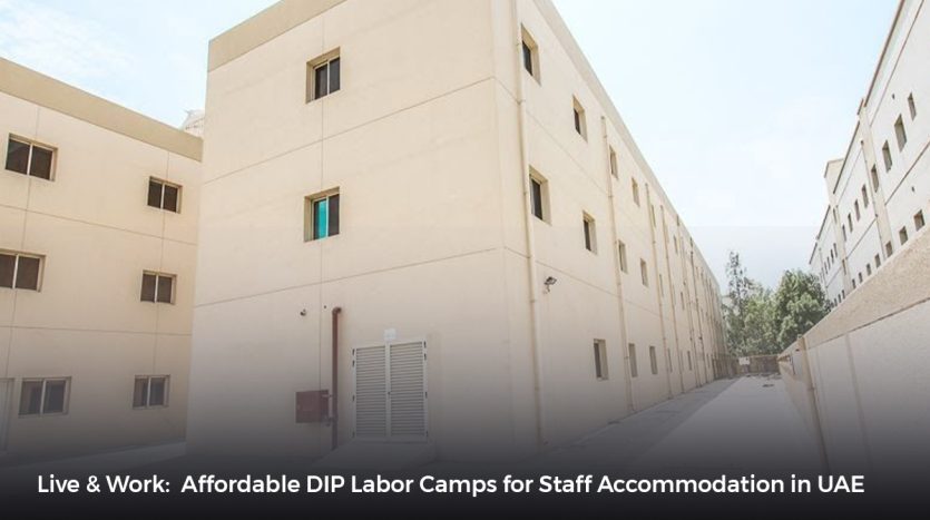 al quoz labor accommodation , jebel ali labor camp , labor camp dubai