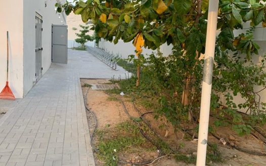 Labor Camp for Sale| Affordable Staff Housing